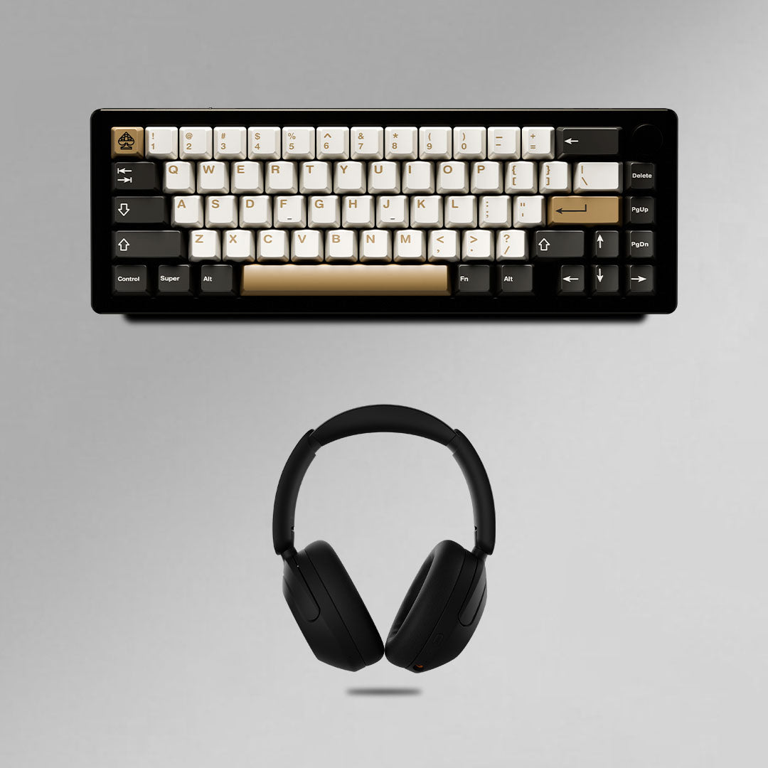 Noir Signature Setup